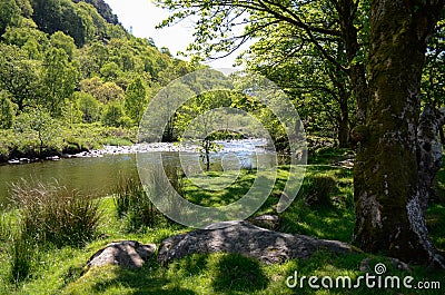 Scenic view down a calm river among the trees, looking across to the forested hills Stock Photo