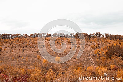 Scenic view of fall winding hiking trail through the field Stock Photo