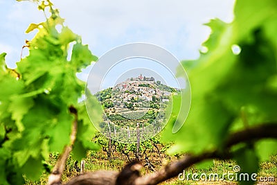 Scenic view famous Motovun town in Istria region, near Rovinj. luxury travel destination in Croatia, Europe. Selective focus. Stock Photo