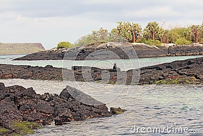 Scenic View Of Floreana Island Stock Photo