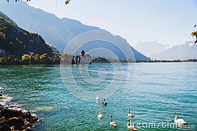 Scenic view of Geneva lake with swans and Chillion castle among mountains in Switzerland Stock Photo