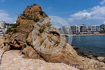 Scenic view of hotels on then green coastline on a sunny day Editorial Stock Photo