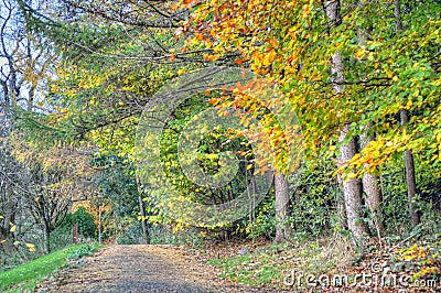 Scenic view of Kelvingrove Park - Glasgow, Scotland Stock Photo