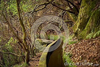 Scenic view of the Levada of Madeira irrigation channels in the wilderness Stock Photo