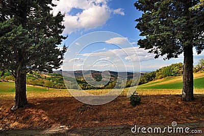 Scenic view of meadow Stock Photo