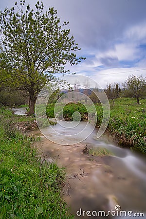 Scenic view of mossy river flowing downstream among grassland with trees on cloudy sky Stock Photo