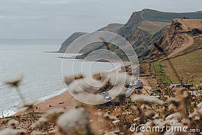 Scenic view over the flowers of Thorncombe Beacon hill on Jurassic Coast, England. Selective focus Editorial Stock Photo