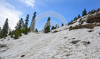 Scenic view of Siri Paye in Kaghan valley, Pakistan Stock Photo