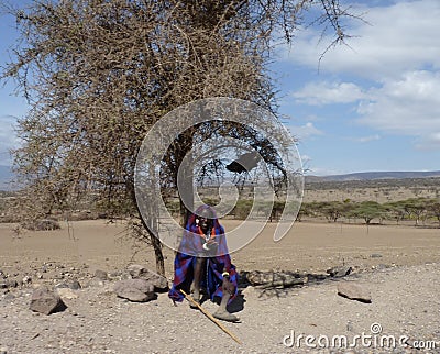 Scenic view in Tanzania Editorial Stock Photo