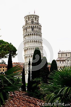 Scenic View through Trees of Leaning Tower and Pisa Cathedral, Piazza del Duomo, Pisa, Tuscany, Italy Stock Photo