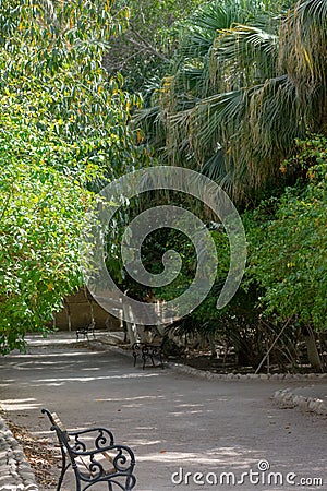 Landon Garden in Biskra, Algeria Stock Photo