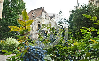 Scenic view of Vajdahunyad Castle, beautiful architecture, Budapest, Hungary Stock Photo