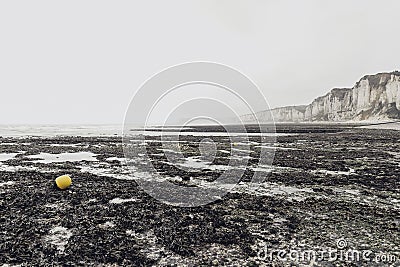 The white cliffs coastline at Etretat in Normandy, France Stock Photo