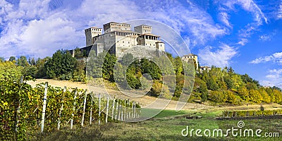 Scenic vineyards and medieval castles of Italy - Torrechiara, Emilia-Romagna Stock Photo