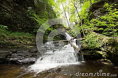 Scenic Waterfall in Ricketts Glen State Park in The Poconos in P Stock Photo