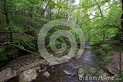 Scenic Waterfall in Ricketts Glen State Park in The Poconos in P Stock Photo