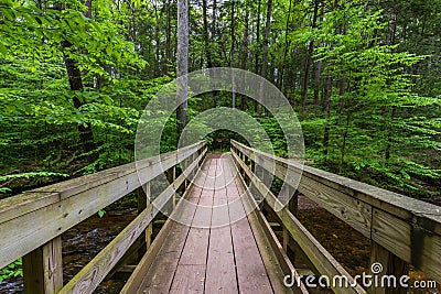 Scenic Waterfall in Ricketts Glen State Park in The Poconos in P Stock Photo