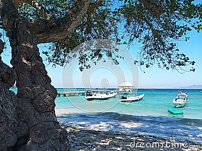 Scenic White Sand Beach with the Shadow of Big Tree and Boats on Clear Blue Turquoise Water Sea During Hot Summer Stock Photo