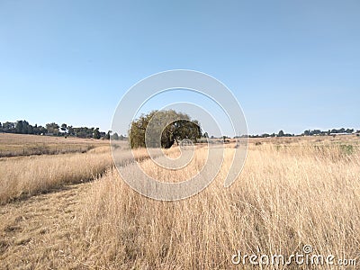 Scenic winter`s grassland landscape photograph Stock Photo