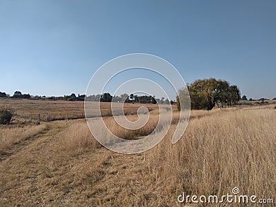 Scenic winter`s grassland landscape photograph Stock Photo