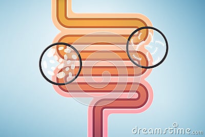 Schematic illustration of human intestines with microbes Cartoon Illustration