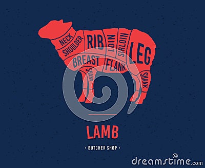 Scheme of lamb. Meat cuts. Vector Illustration