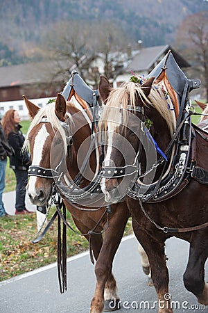 Schliersee, Germany, Bavaria 05.11.2017: Leonhardi ride in the Bavarian Schliersee Editorial Stock Photo
