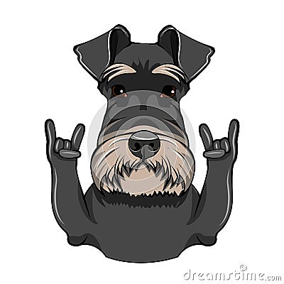 Schnauzer Dog Portrait. Horns, Rock gesture. Schnauzer breed. Vector. Vector Illustration