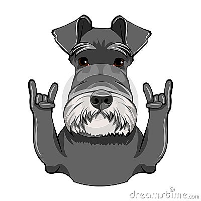 Schnauzer Dog Portrait. Rock gesture, Horns. Cute dog. Schnauzer breed. Vector. Vector Illustration