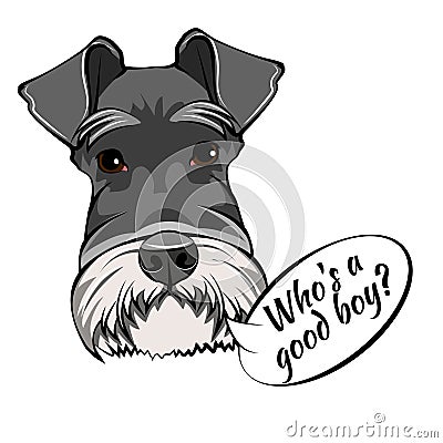 Schnauzer Dog Portrait. Who is good boy lettering. Dog breed. Schnauzer head, face, muzzle. Vector. Vector Illustration