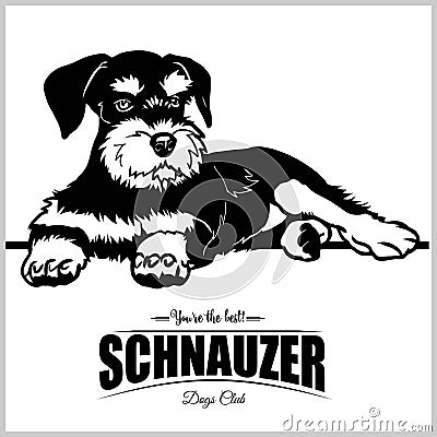 Schnauzer - vector illustration for t-shirt, logo and template badges Vector Illustration