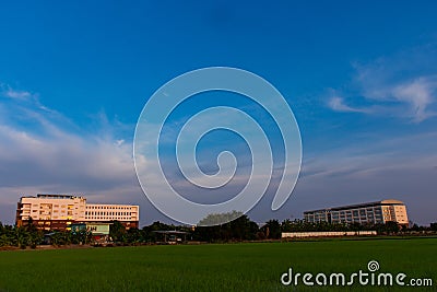 The school is adjacent to the rice fields. Stock Photo