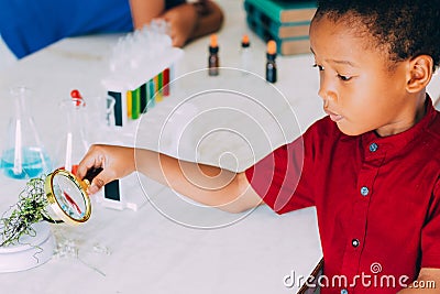 School boy use magnifier to test plant for scientific proof in science class - biology concept Stock Photo