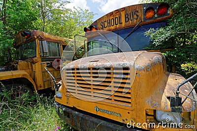 School bus cemetery Editorial Stock Photo