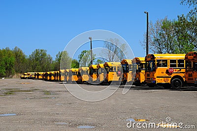 School bus roundup Editorial Stock Photo