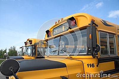 School Buses Stock Photo