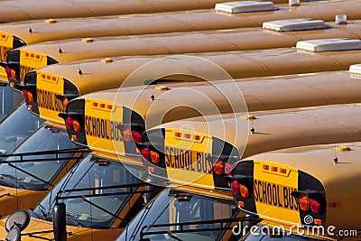 School Buses Stock Photo