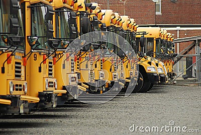School Buses Stock Photo
