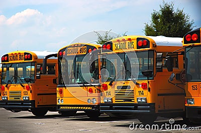 School Buses Stock Photo