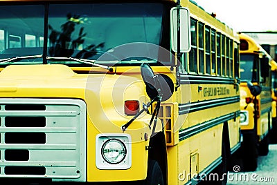 School Buses Stock Photo