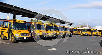 School busses awaiting school openings to be active again Editorial Stock Photo