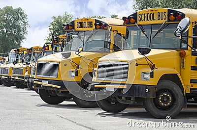 School busses Lined up to Transport kids Stock Photo