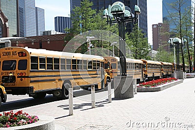 School Children of a Field Trip Stock Photo