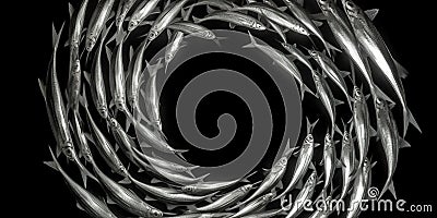 A school of fish swimming in a mesmerizing spiral formation against a contrasting background, concept of Natural harmony Stock Photo