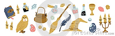 School of magic objects isolated - owl, potion Vector Illustration