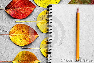 School notebook, pencil and autumn leaves. Back to school concept. Creative flat lay Stock Photo