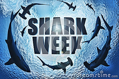 School of sharks , great white and hammerhead`s circling the text Shark week with a shark bite taken out of the k. Stock Photo