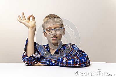 schoolboy with glasses raises his hand. boy in plaid shirt knows answer. Elementary school. Study online from home Stock Photo