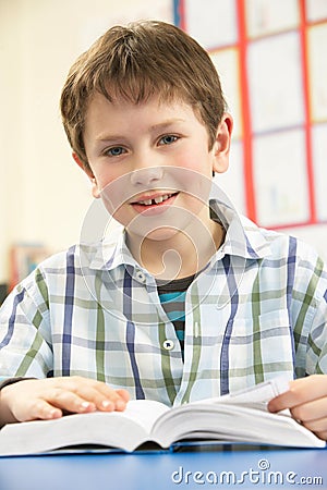 Schoolboy Studying Textbook In Classroom Stock Photo