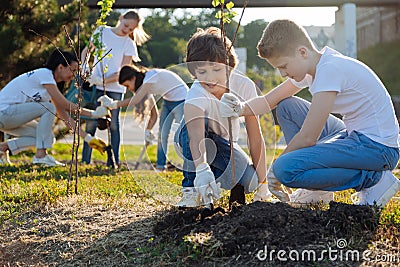 Schoolchildren planting young fruit trees Stock Photo